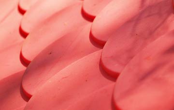 Upcott plastic roof costs