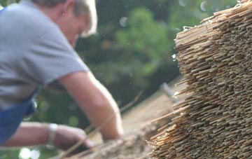 professional Upcott thatchers